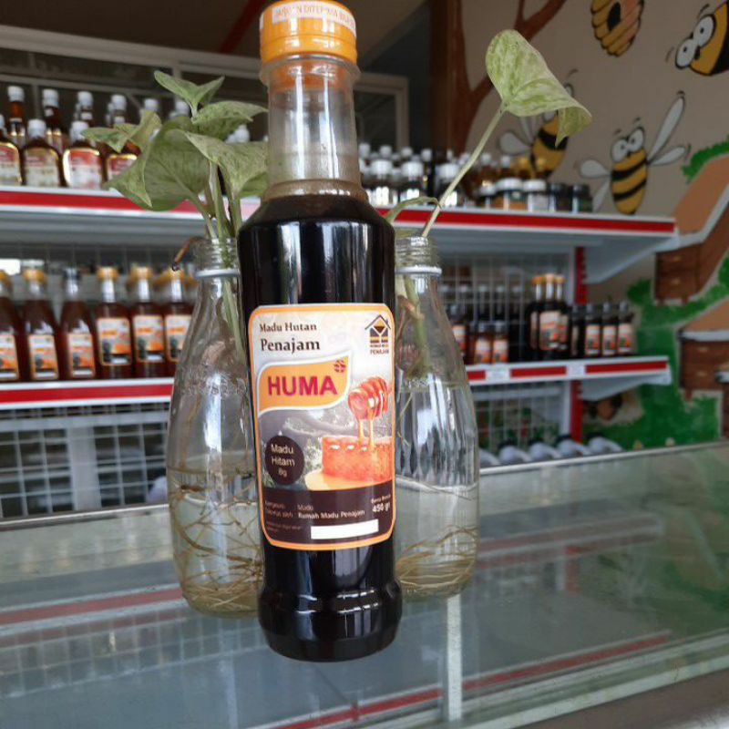 

Madu Hitam Kalimantan 450 gr