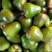 

Buah Jambu Cingcalo Hijau manis