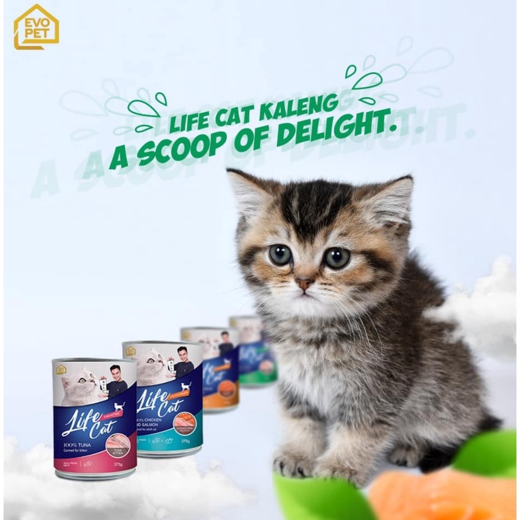 Life Cat 400gr Kaleng Makanan Kucing Basah