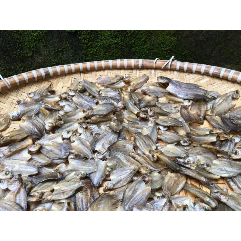 

ikan sepat kering gurih (tidak asin)