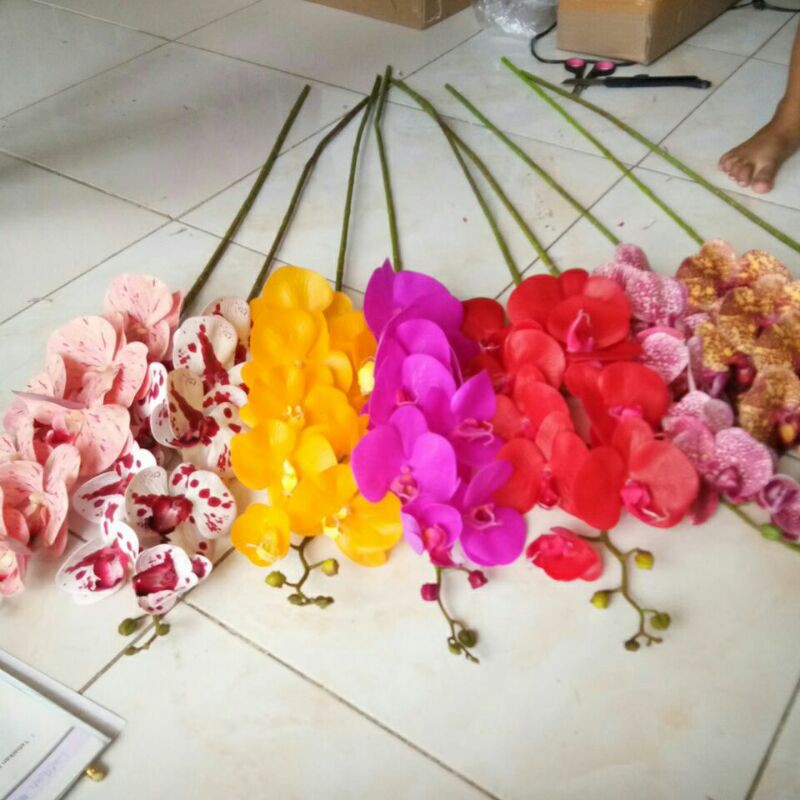 anggrek latex grosiran/anggrek latek jumbo