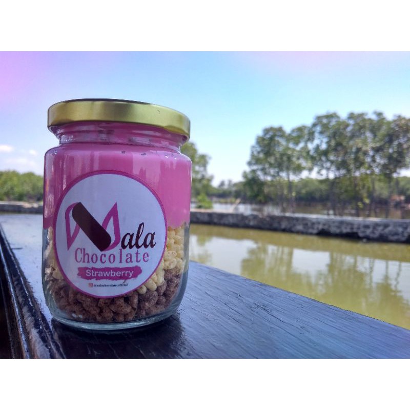 

Nala Chocolate Premium Chocolate in Jar Rasa Strawberry