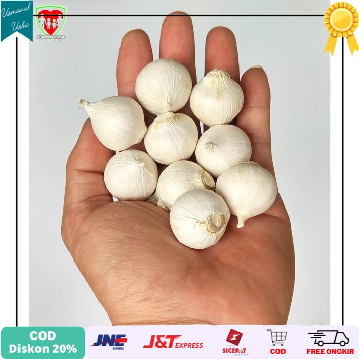 

◾COD◾ Bawang Putih Tunggal / Lanang 500 gram Super Besar Import