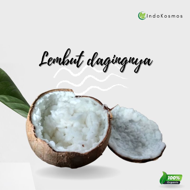 

Buah kelapa kopyor size L (ukuran besar)