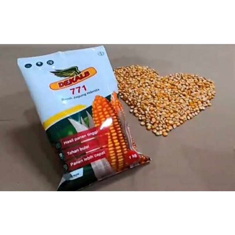 BENIH JAGUNG HIBRIDA DK 771 DEKALB BAYER 1 KG