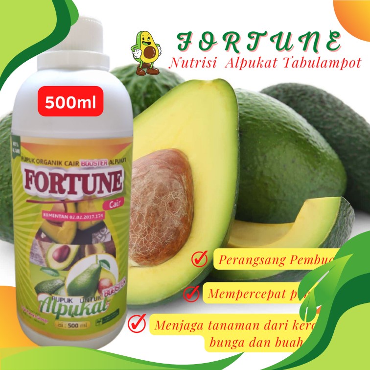Booster Alpukat Pemicu Cepat Berbuah, Booster Cair Buah Alpukat , BISA COD Pupuk Boster Alpukat Pemi