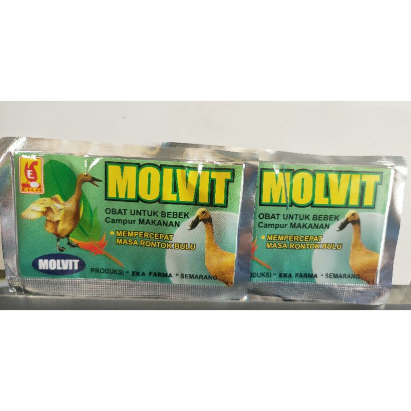 molvit perontok bulu ayam bebek