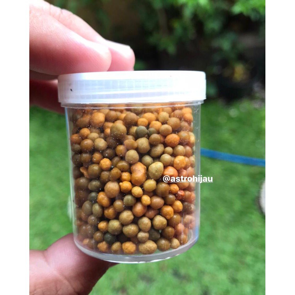Osmocote/Dekastar/Slow Release Fertilizer/Pupuk Kaktus/Pupuk Bunga Repack 35gr