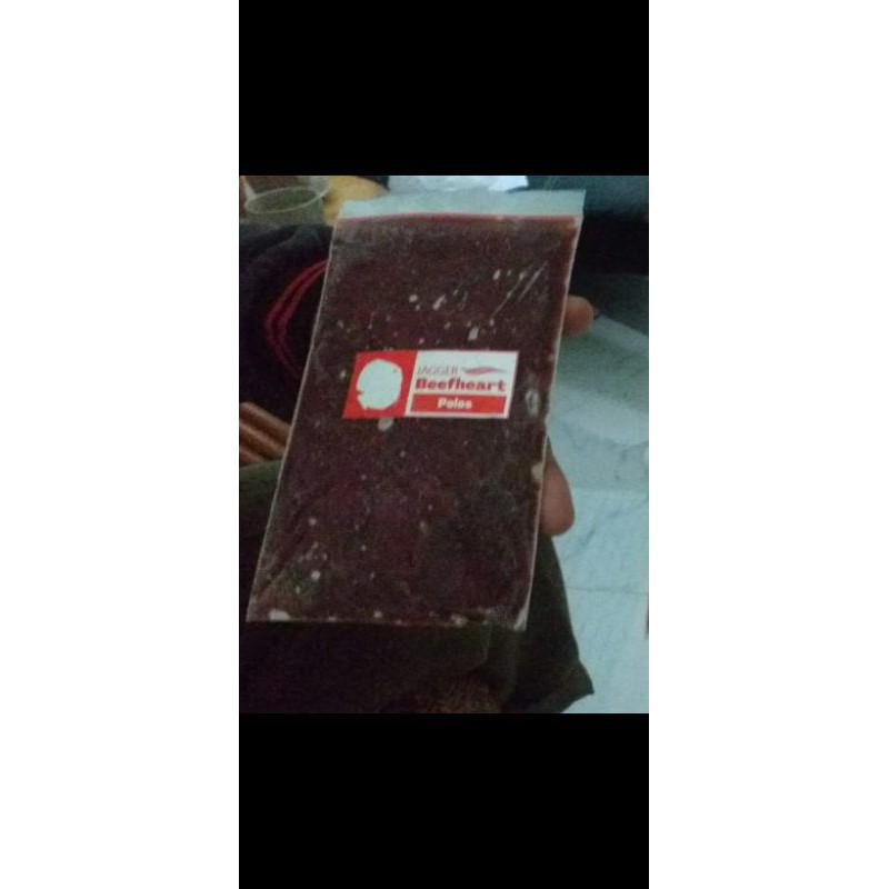 jagger beefheart/pakan ikan jagger