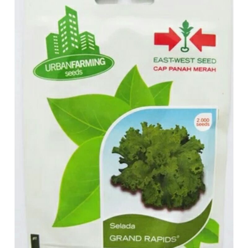 BENIH SELADA GRAND RAPIDS CAP PANAH MERAH