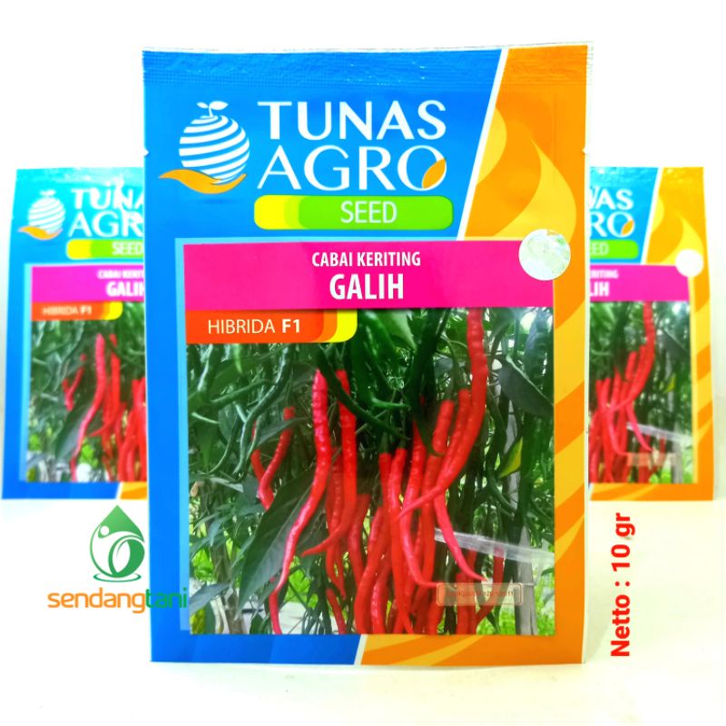 CMK Galih F1 Tunas Agro Benih Bibit Cabe Merah Keriting Hibrida F1