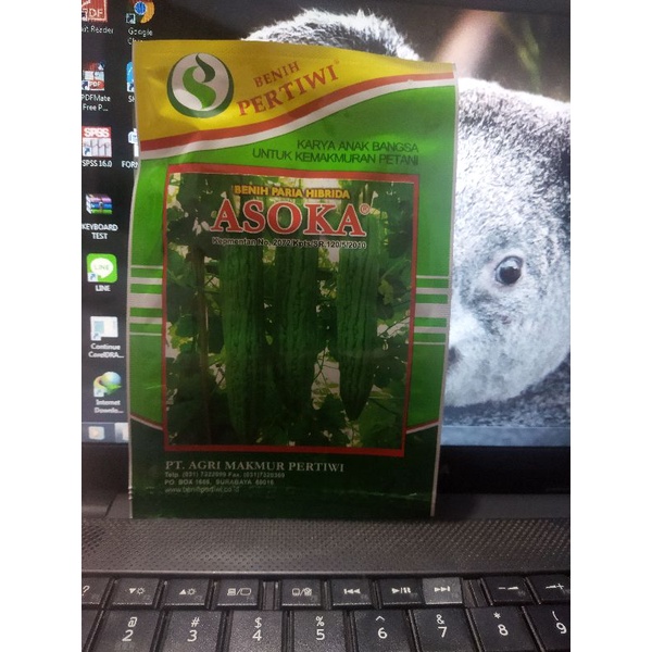 PAKET BIBIT TANAMAN SAYUR (25 BIJI)