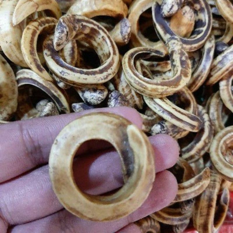 BARANG ANTIK RANTAI BABI