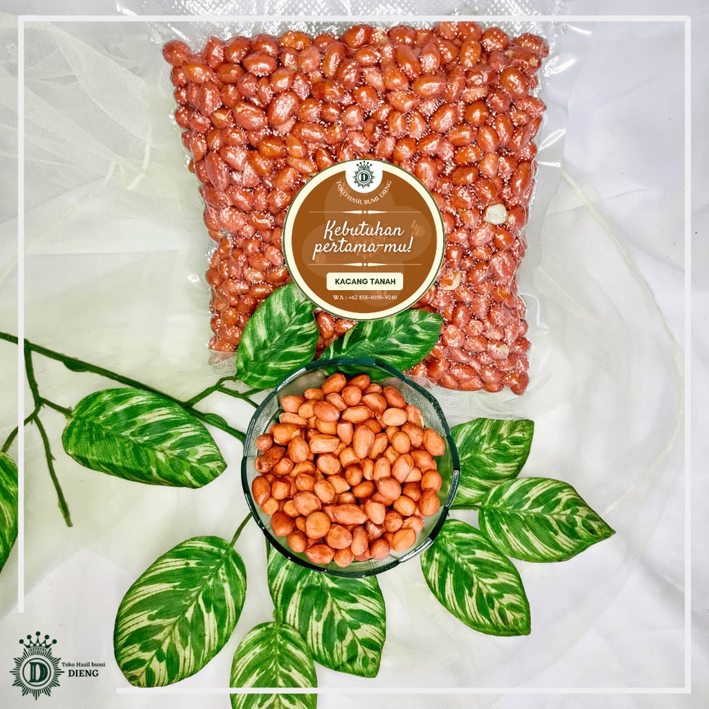 

KACANG TANAH MENTAH 1kg