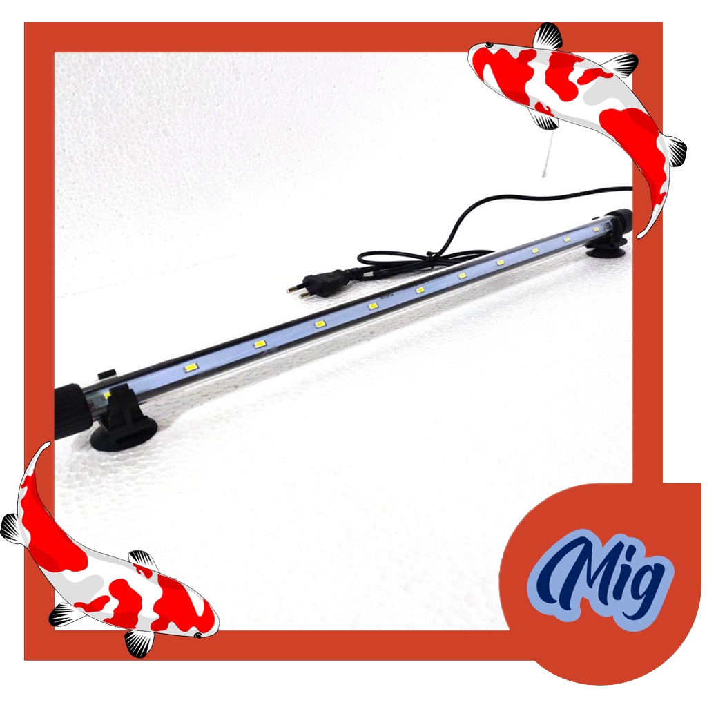 lampu celup led aquarium 50 cm murah