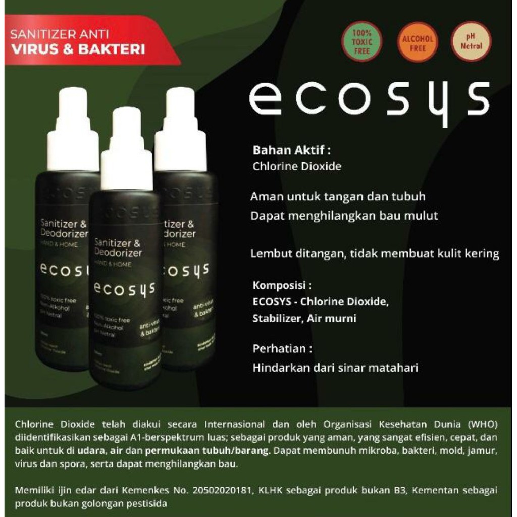 ecosys Spray Hand Sanitizer 100 ml