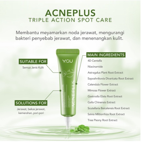 READY YOU Acne Plus Cica Herbs Derma Solution | ACNEPLUS Toner Spot Care Serum Moisturizer BPOM