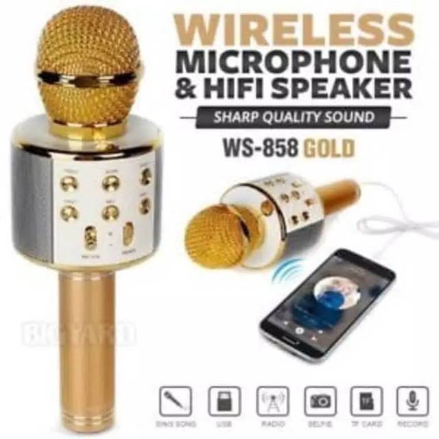 Microphone karaoke wireless