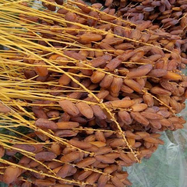

KURMA TUNISIA TANGKAI 500 GRAM