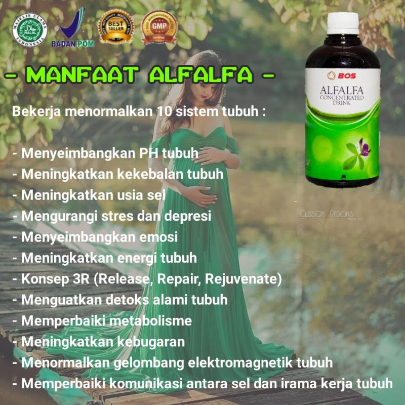 promil holistic original penyubur suami dan istri