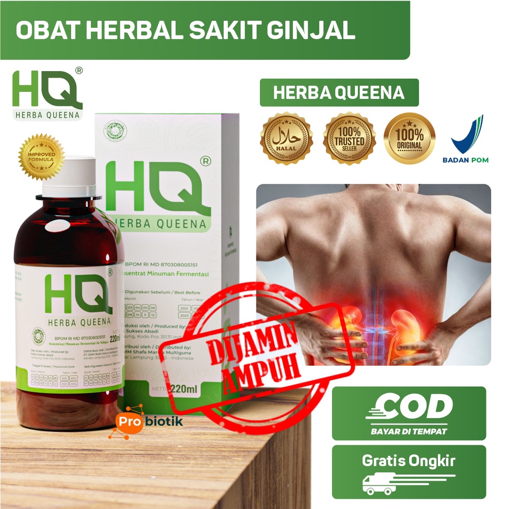 Obat Ginjal Bengkak Ampuh Herbal HQ HERBA QUEENA PROBIOTIK 100% ORIGINAL