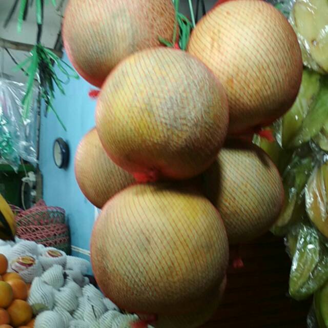 

Melon madu/kg