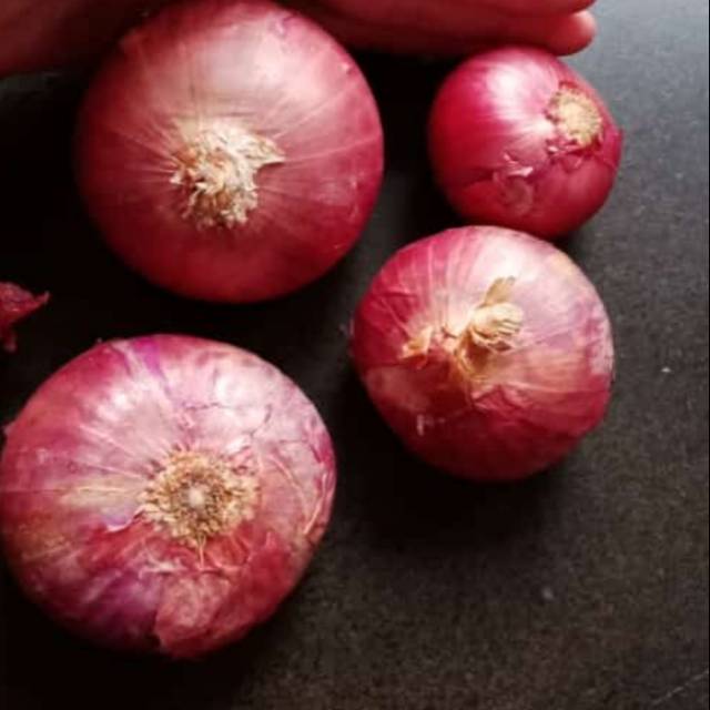 

BAWANG PROBOLINGGO