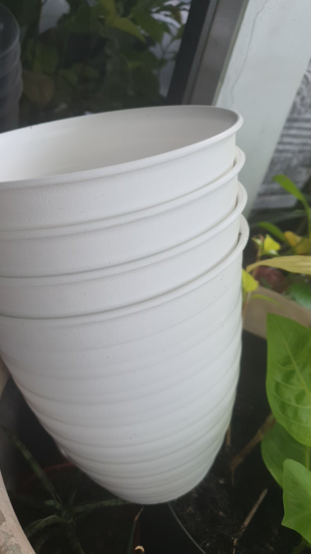 Pot Tawon Tirus 21 Cm