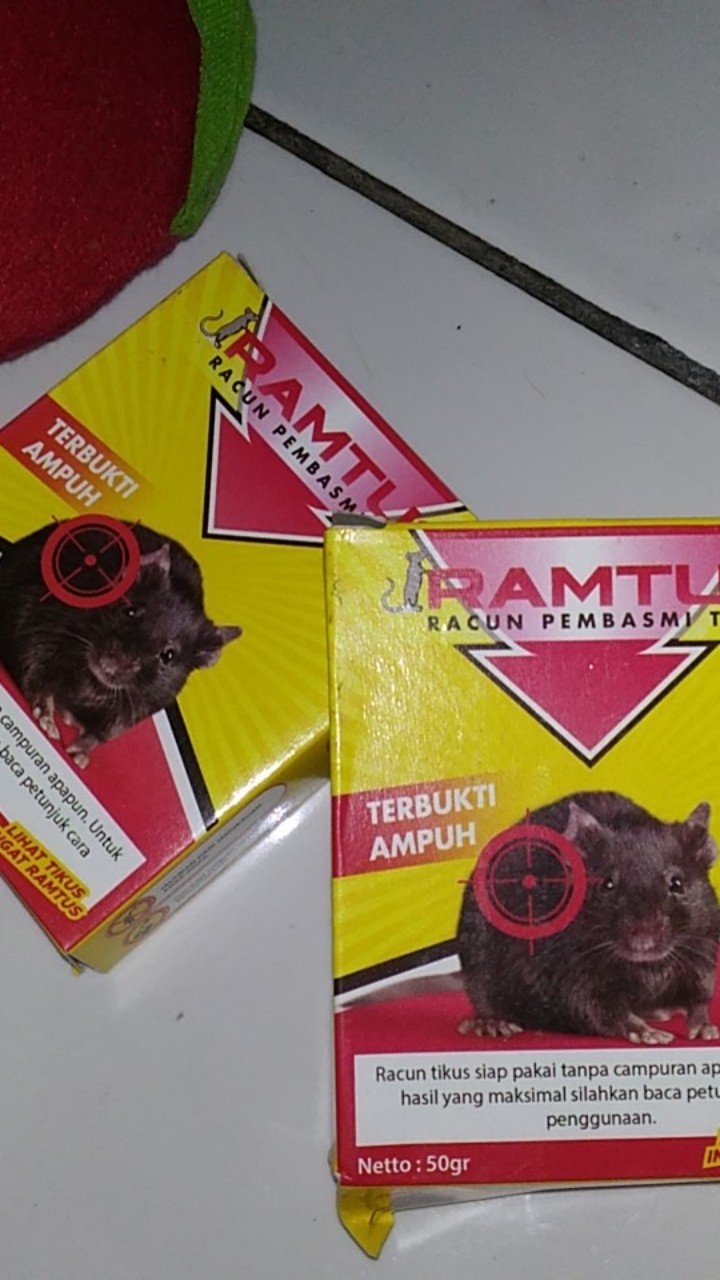 Racun Tikus Ramtus Asli Alami Mati Kering Tidak Bau Pembasmi Pengusir Tikus Super Paling Ampuh 2pack
