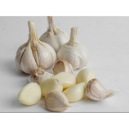 

Bawang Putih 500gr