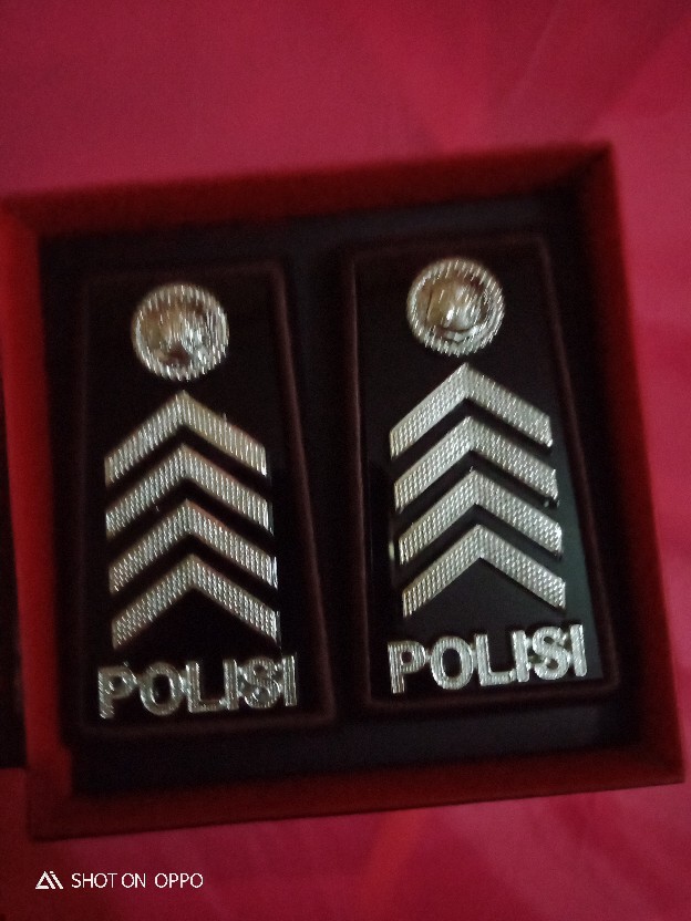 Pangkat Polisi Bripka