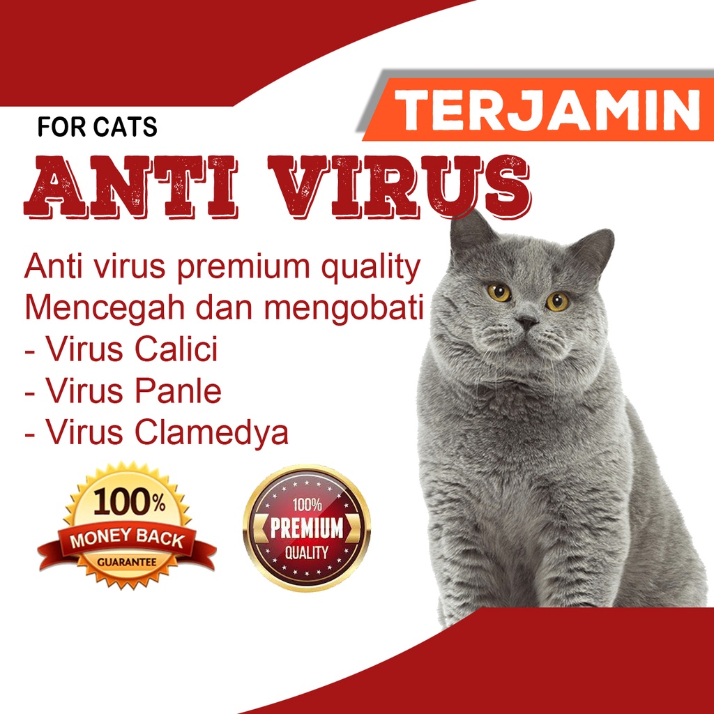 [REKOMENDASI] OBAT ANTI VIRUS FPV Feline Panleukopenia VCV PADA KUCING AMPUH