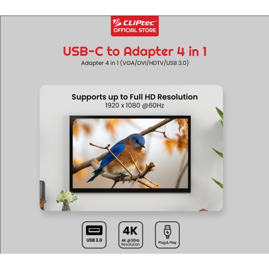 &quot;Converter CLIPtec USB-C to 4 in 1 (VGA + DVI + HDTV + USB)&quot;