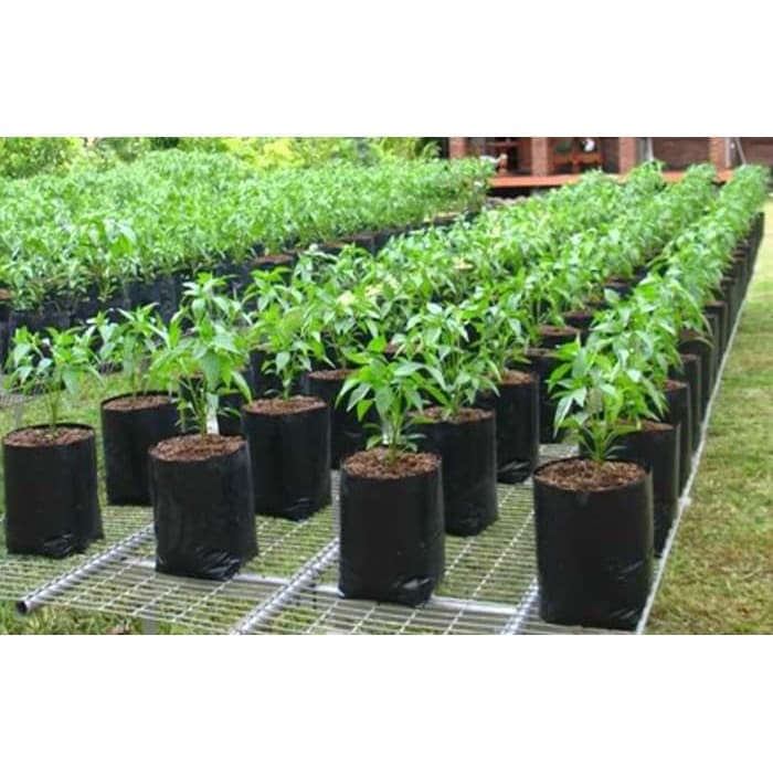 Plastik Polibag Polibeg Polybag Poliback Polibek Polibak Kantong