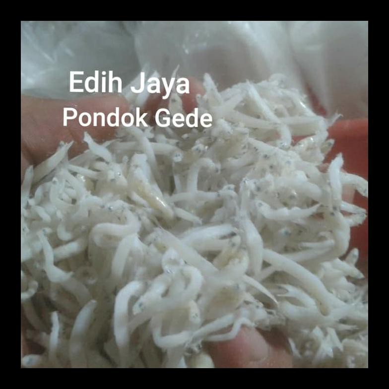 

BEST SELLER! TERI MEDAN PUTIH 500 GRAM TERMURAH