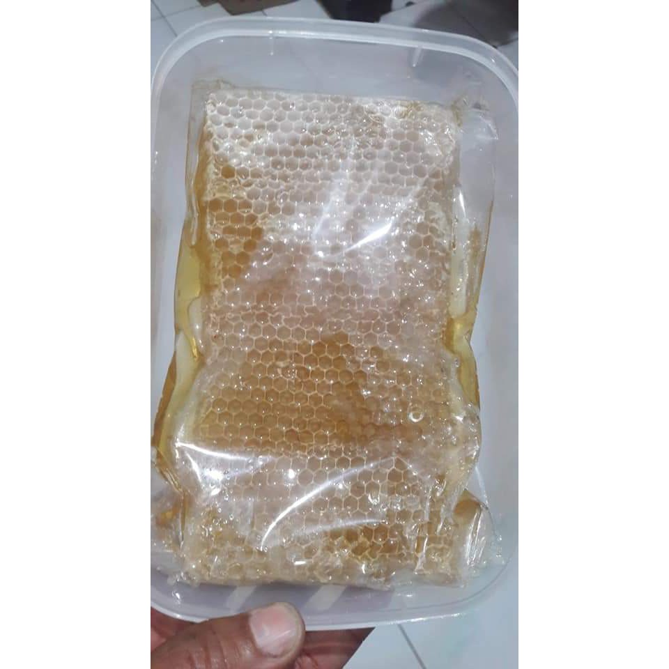 

MADU SARANG ORIGINAL 500GR