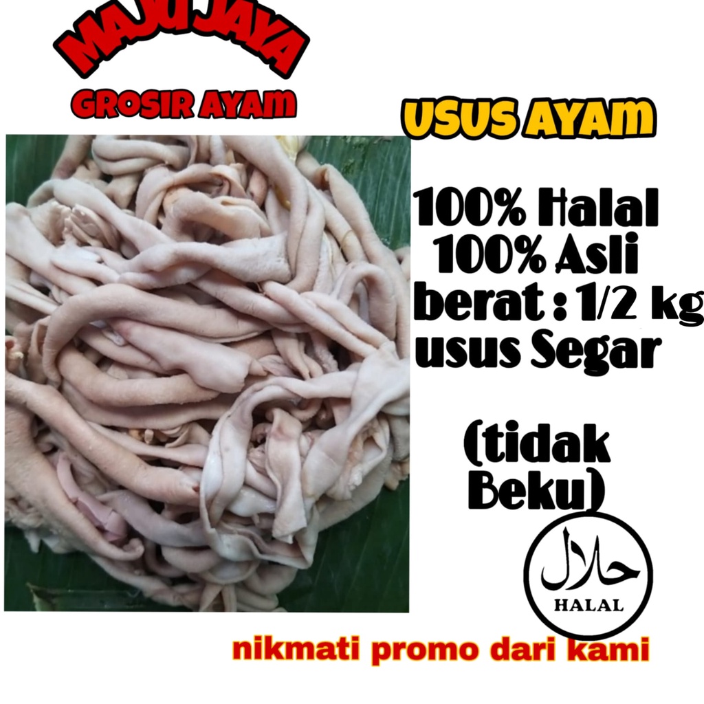 USUS SEGAR 1/2KG (500gr) / USUS MURAH / USUS FRESH / USUS BERKUALITAS / SEGAR / AAYAM SEGAR