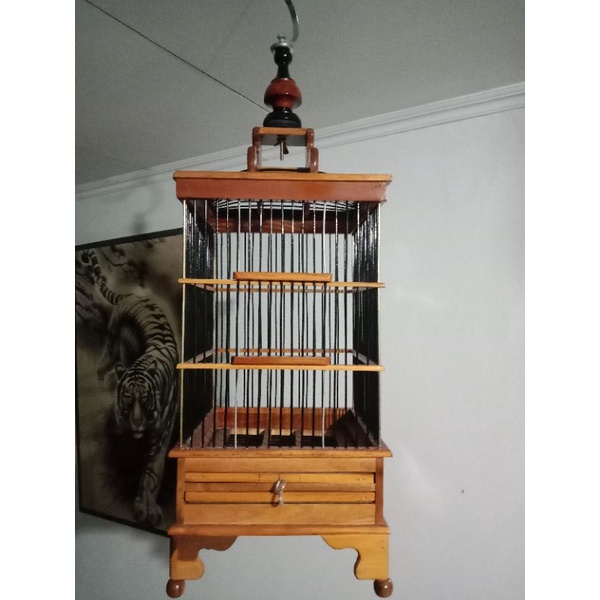 sangkar burung pleci ciblek
