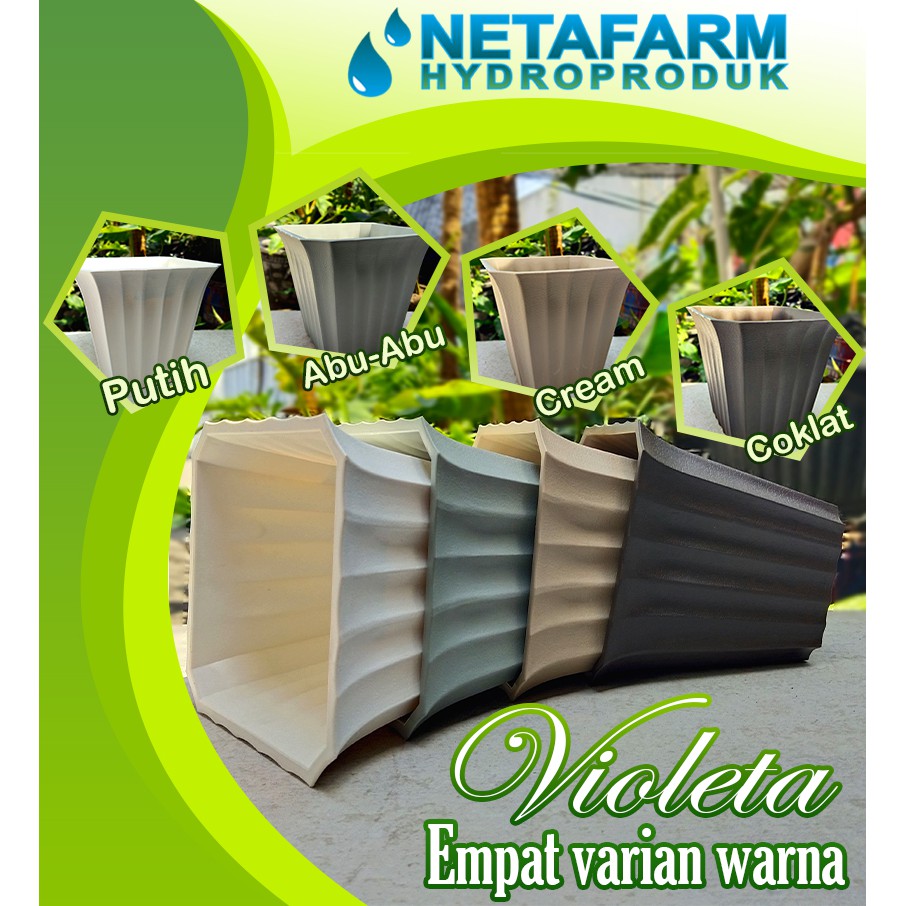 Pot Tanaman Bunga Segi Violetta 16,5 cm