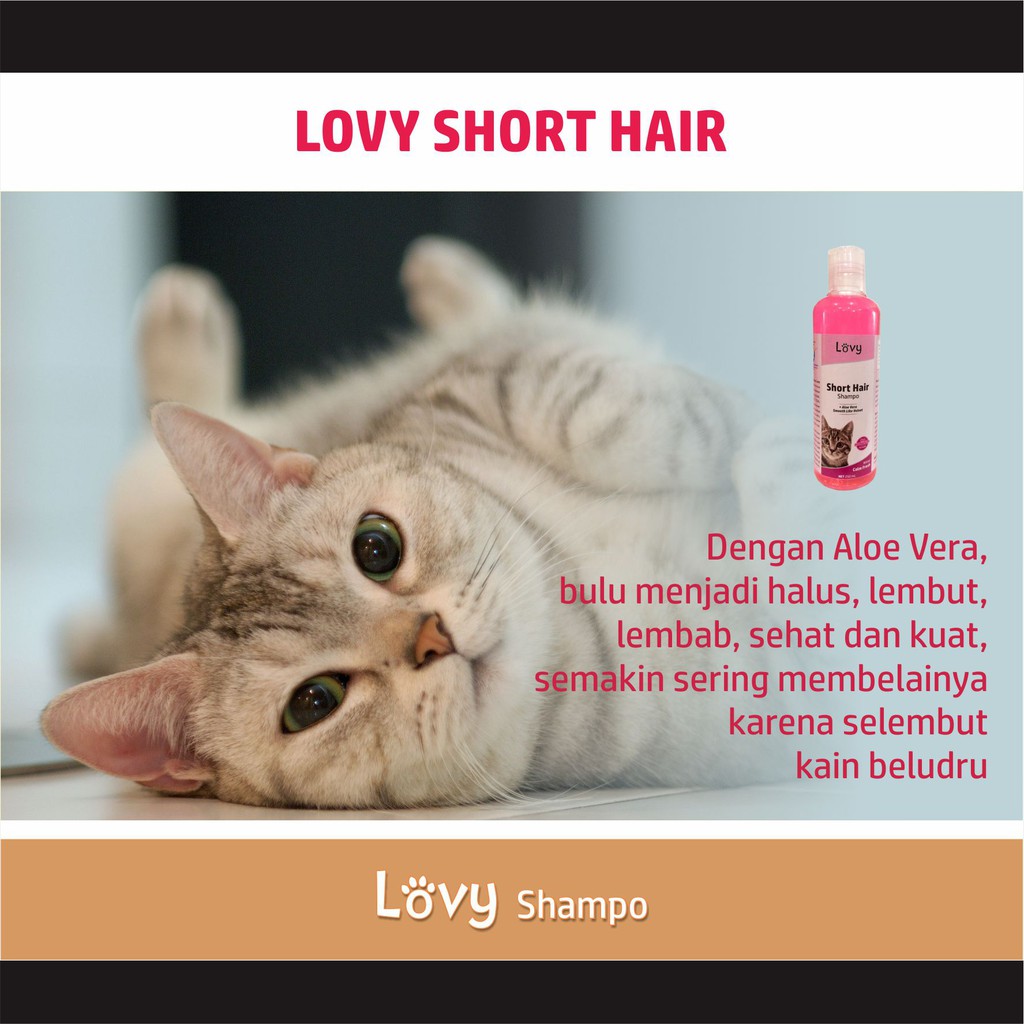 Shampo Kucing ALOE VERA Sampo Kucing Shampoo Lovy 250 ml