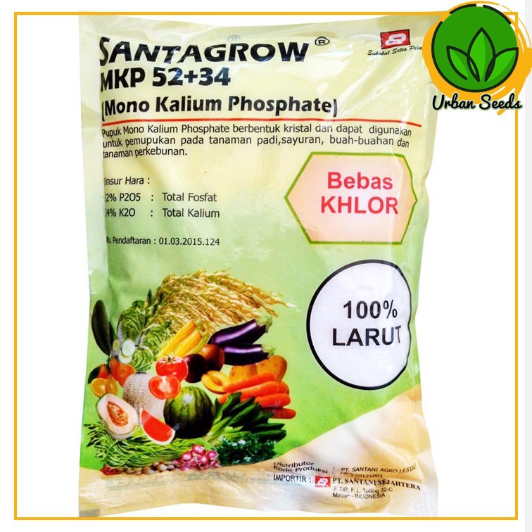 Pupuk MKP SANTAGROW MKP 52+34 Pupuk Tanaman