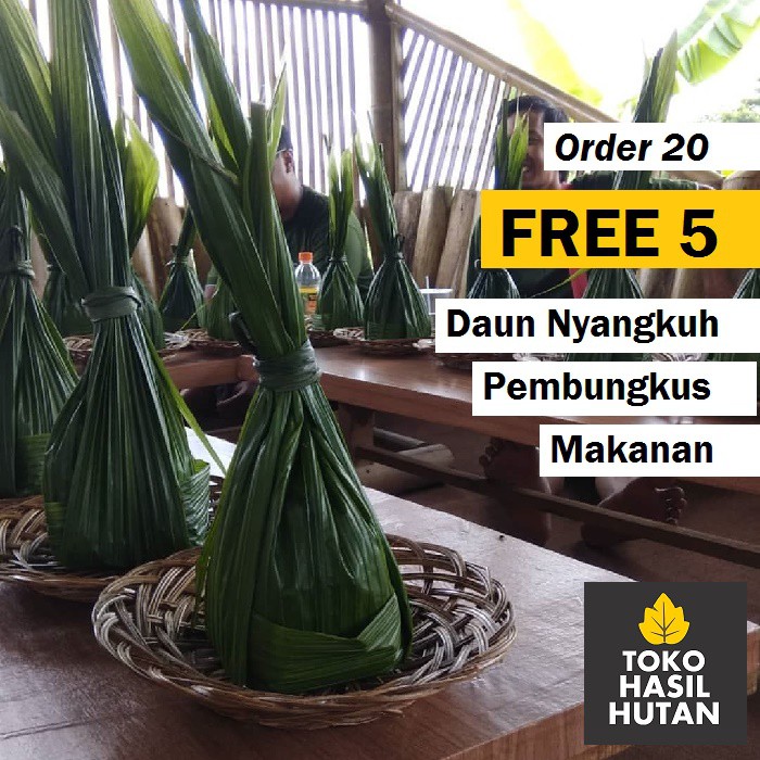 

Daun Nyangkuh Sejenis Daun Bacang / Daun Kicang / Daun Bambu Pembungkus Makanan | Toko Hasil Hutan