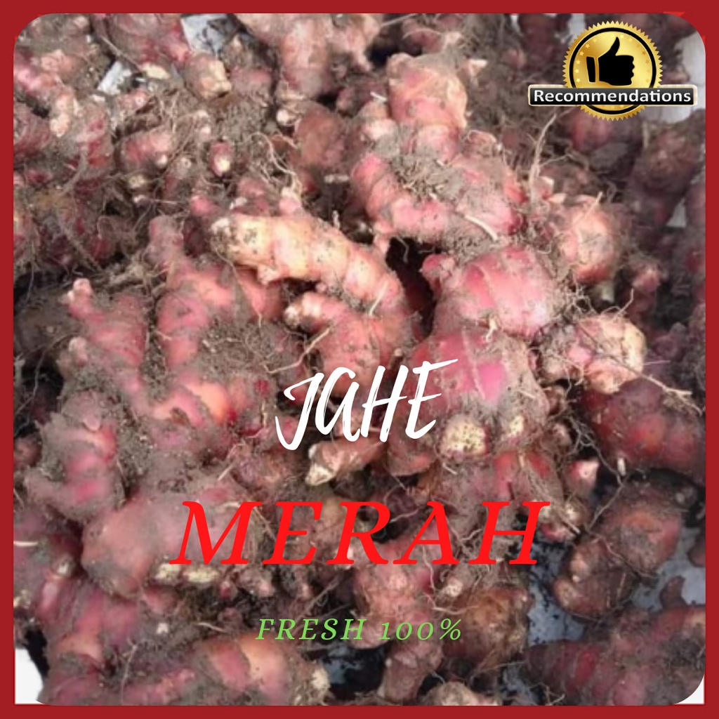 

JAHE MERAH SEGAR 1KG & ASLI TUA SEDANG/KECIL