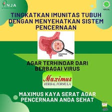 Maximus Kapsul Herbal Pelangsing,Pelancar Buang Air Besar - Box 3 Blister @ 10 Kapsul