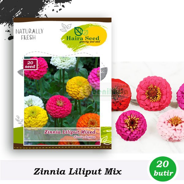 

Benih-Bibit Bunga Zinnia Liliput Mixed - Haira Seed