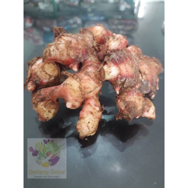 

Gudang Sayur - Jahe Merah Segar Bersih 200 Gram