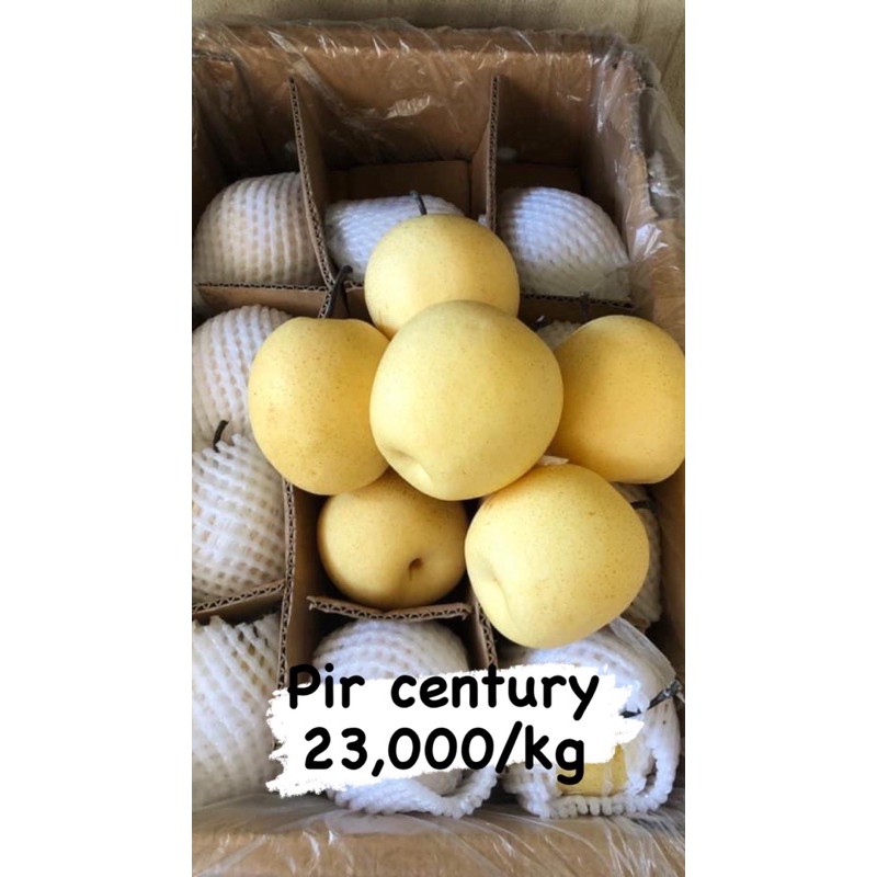 

pir century