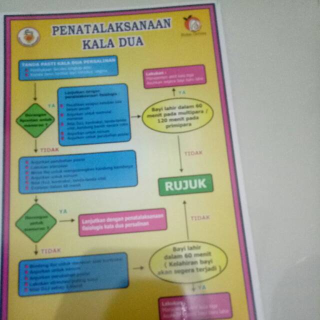 

Poster Penatalaksanaan Kala Dua Laminating New 2022 Dan Banyak Poster Lengkap Kebidanan Lainnya