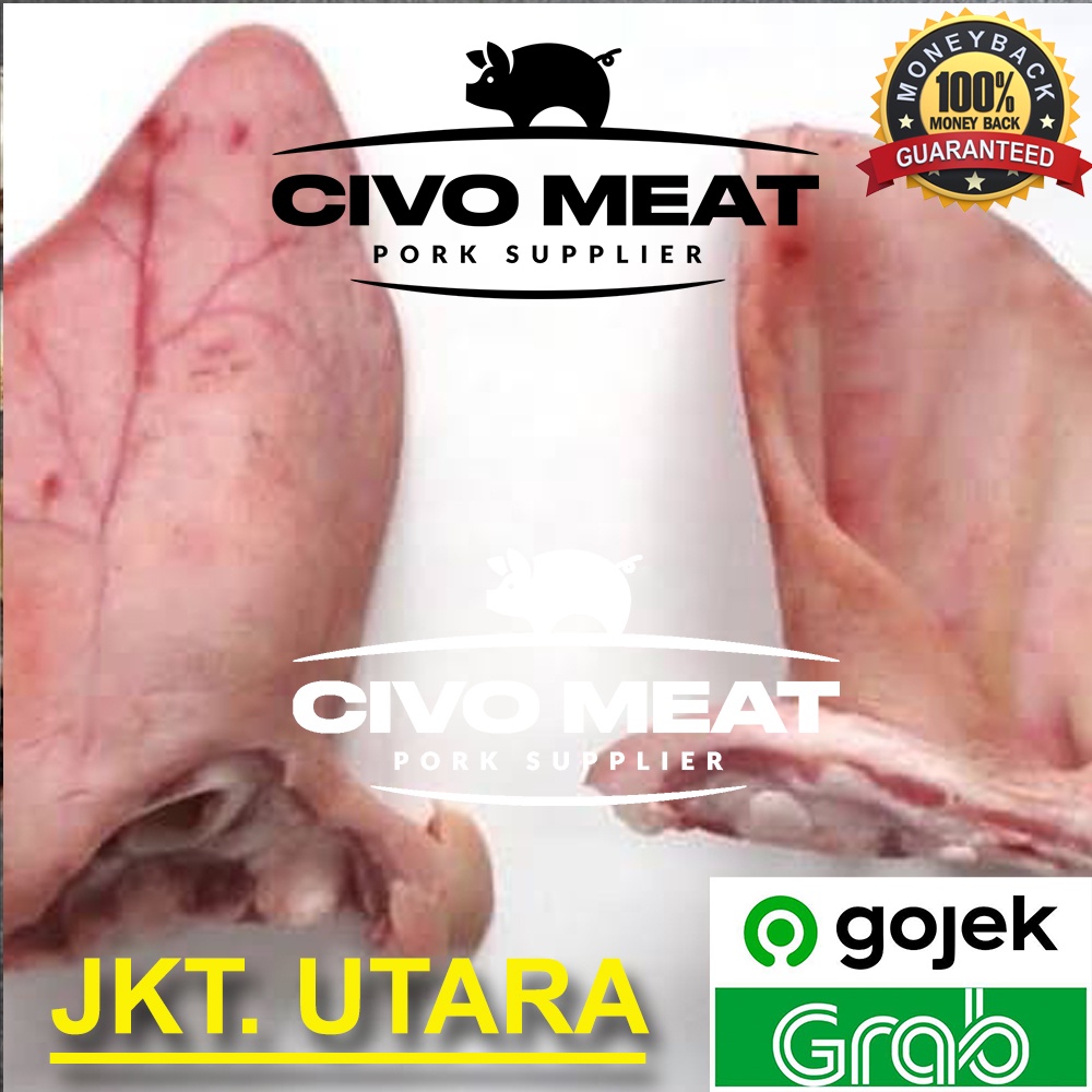 

Kuping Telinga Babi Mentah 1 Pasang