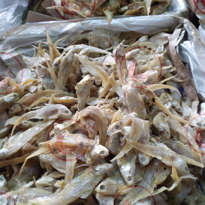 

Ikan Asin Bulu Ayam Tawar Kering Grade A Asli Kalimantan 1 Kg